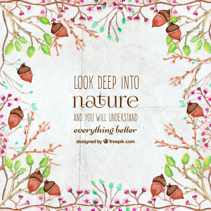 明智的建议与水彩橡子植物自然(800X800)ai矢量模版下载