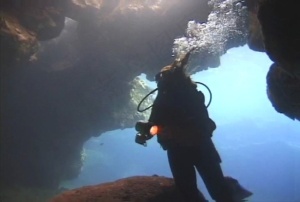 海洋生物