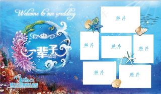 海洋系婚礼照片墙