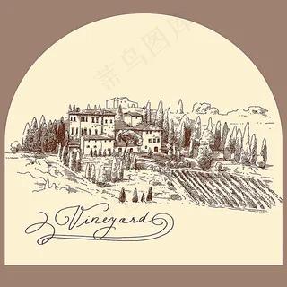 葡萄园插画