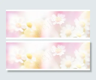 淘宝花朵背景大图12