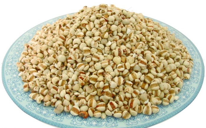 薏仁米图片