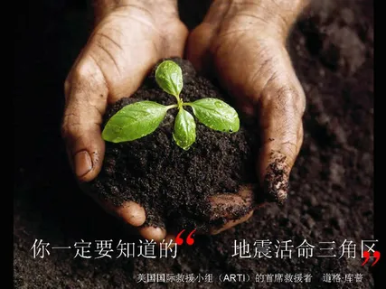 地震活命三角区PPT模板