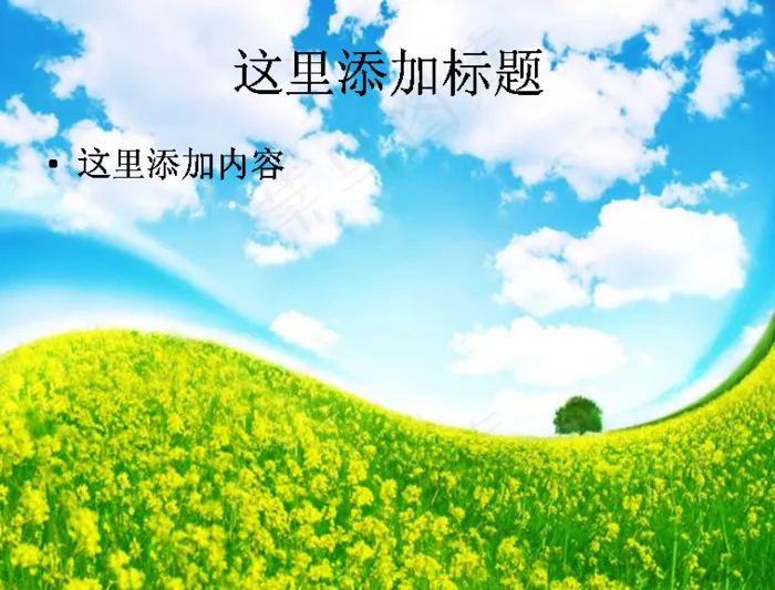 油菜花主题高清PPT模板范文-1...