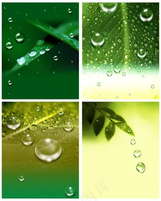 动感水珠树叶背景效果图