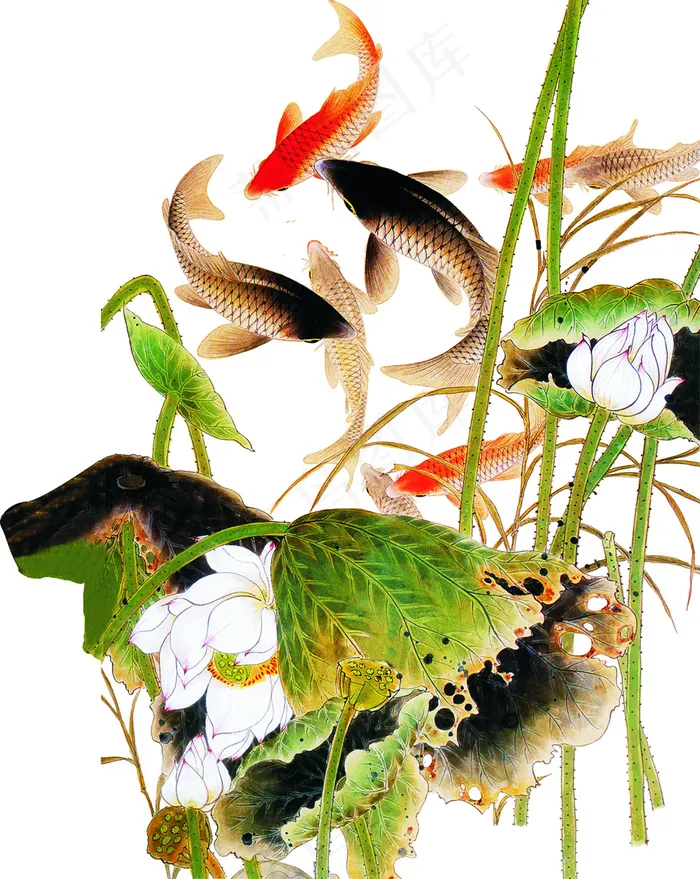 古风鲤鱼素材下载
