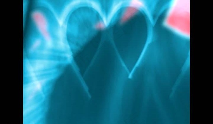 婚礼视频素材图片