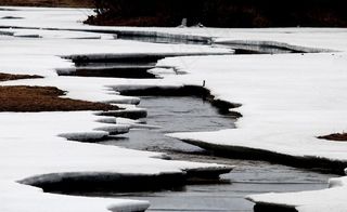 春天融化的小河图片