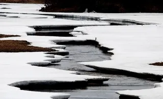 春天融化的小河图片