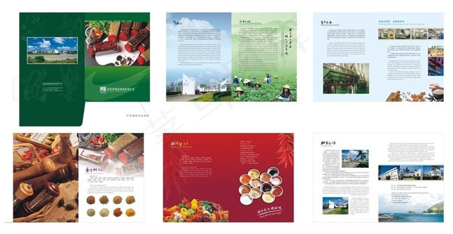 香料生产企业画册设计矢量素材cdr矢量模版下载