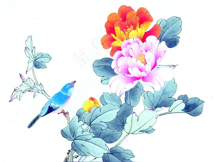花鸟画