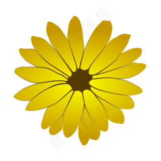 01库克香槟flower1朱莉安