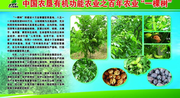 有机农业展板图片(7101X4266(DPI:36))psd模版下载