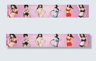 内衣 性感女模特图片