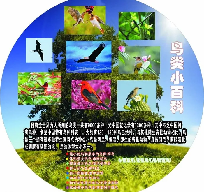 学校展板图片cdr矢量模版下载