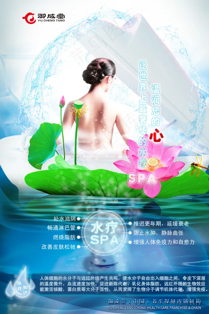 水疗SPA美女裸背荷花绿色广告模板(2268X3402(DPI:72))psd模版下载