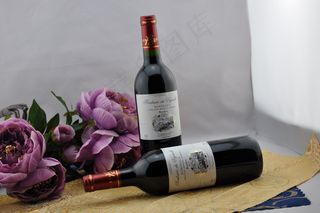 卡斯特城堡朗格多克图片