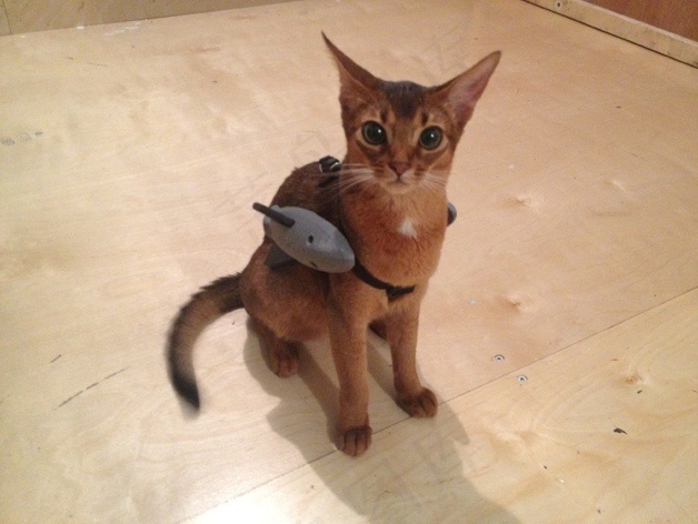 小猫亚由美战役