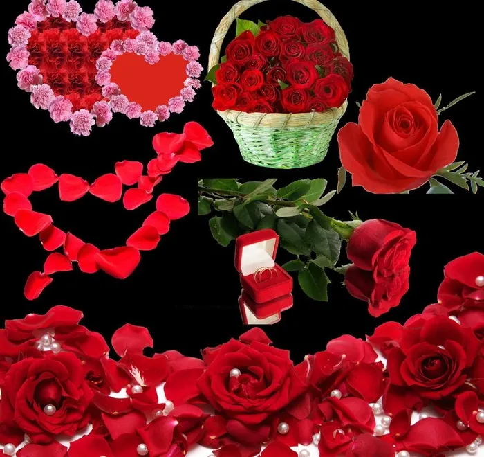 红色玫瑰图片(5906X5906(DPI:300))psd模版下载