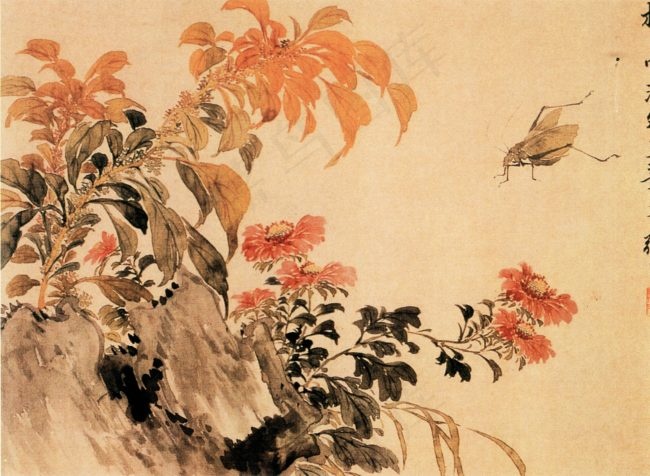 红花绿叶