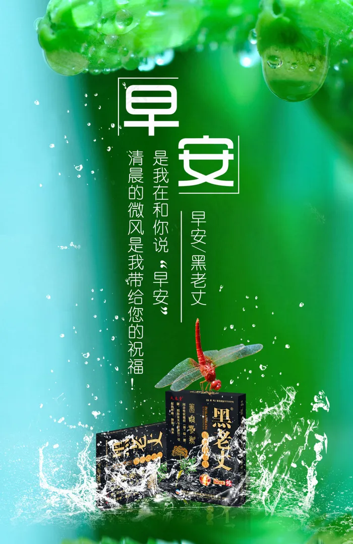 早安 水纹 膏贴 绿色背景海报 蜻...(1532X2362(DPI:200))psd模版下载
