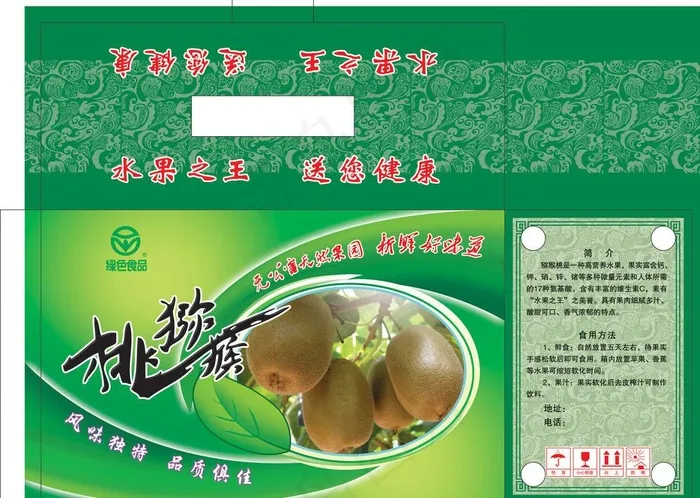 猕猴桃图片ai矢量模版下载
