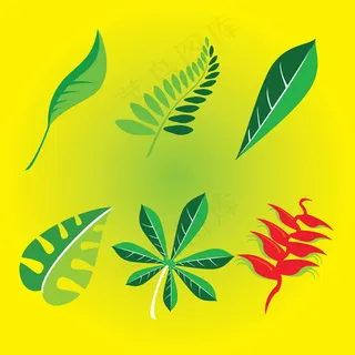 矢量绿叶