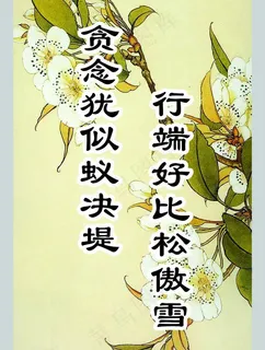 菊花图片