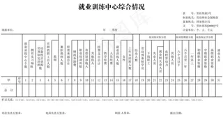 再就业培训情况表