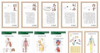 经络养生保健图图片