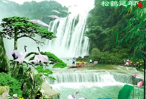 松鹤延年图片 松鹤延年图片