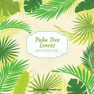手绘棕榈树叶背景