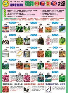 挂图 食物相克图片 挂图 食物相克图片