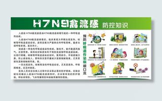 H7N9禽流感海报模板设计