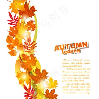 美丽的秋天树叶背景02矢量素材