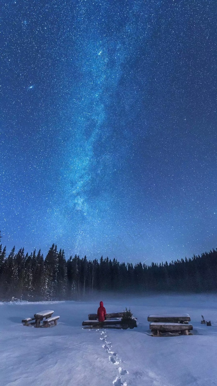 星空下的丛林雪景高清摄影图片