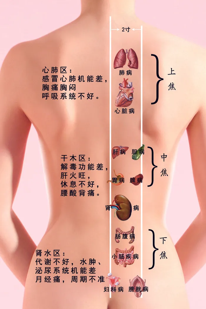 身体体能psd模版下载