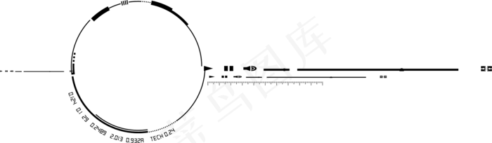  镜头元素  