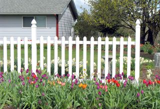 欧式楼房 白色栅栏 花园图片