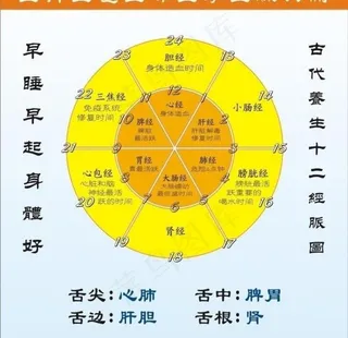 十二经络养生图图片