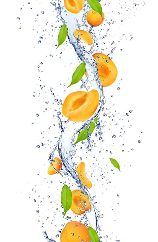 新鲜杏子与动感水花