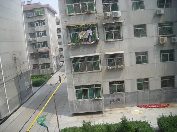 唯爱婚礼vi 手册图片