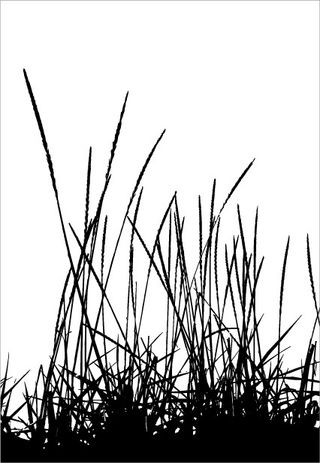 矢量花朵和椰子树的剪影矢量素材