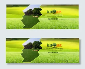 欻给内心的苗木草坪psd高清图片下...