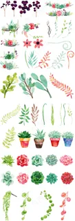 多彩手绘植物花卉PNG免扣设计素材