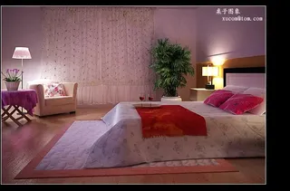 vr物理相机卧室夜景图片
