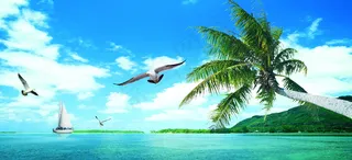 湛蓝海天椰树图片