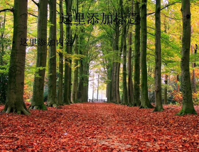 电脑高清ppt封面自然风景背景图...