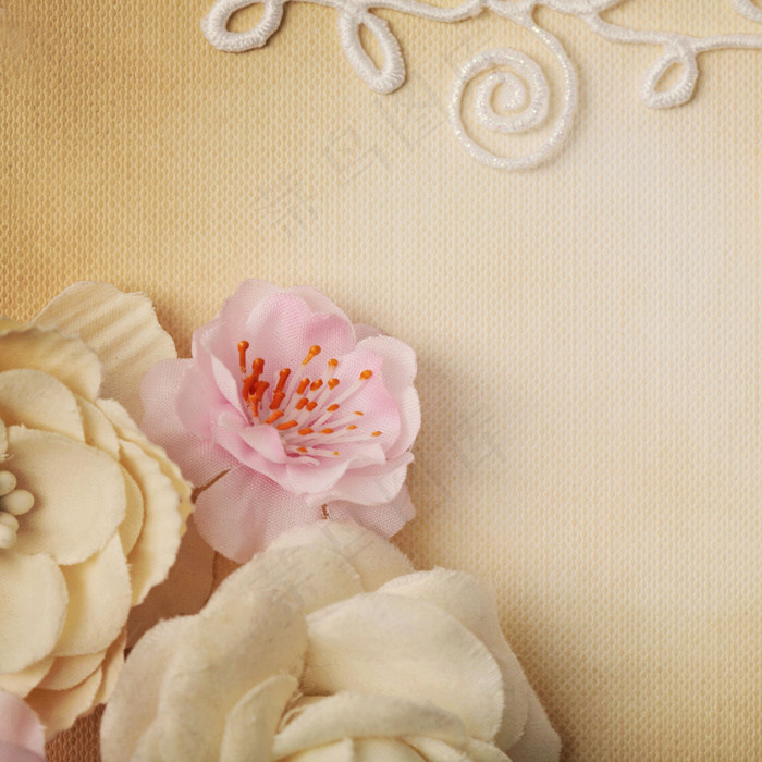 粉色和白色绢花背景素材图片