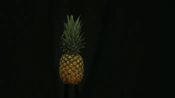 菠萝爆炸股票视频 视频免费下载
